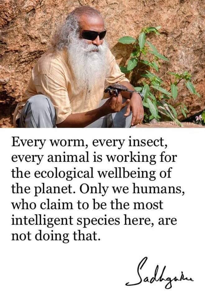 Sadhguru Quote