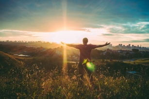 Embracing the Life Principles