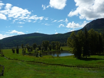 How You Can Connect With Nature To Create Balance and Well-Being