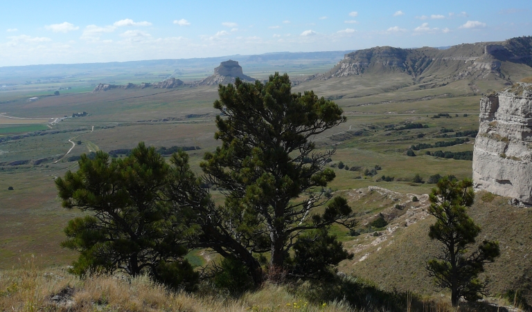 How do we work with the Earth to become a true friend of the Earth?